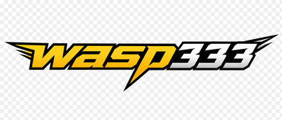 wasp333